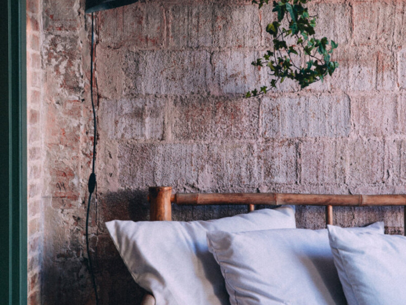 What Adaptogens Are and How They Fit Into a Wellness Routine